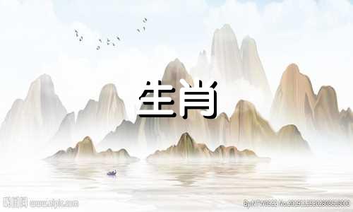 猪女人在95年几岁遇到她的真爱?