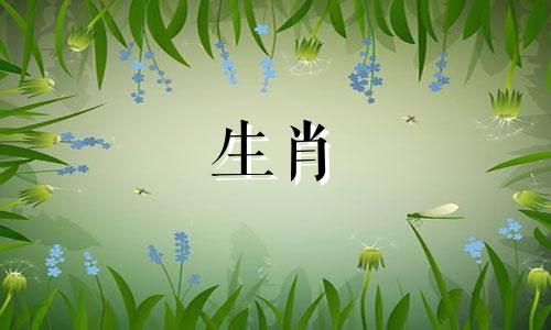 71年是猪51岁到52岁好运71年是猪50岁以后命运和运气