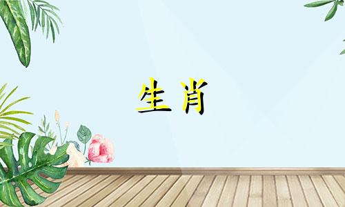 猪在48岁时的命运是什么?你的命运是哪一年?