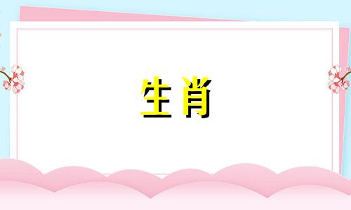 猪穿什么可以转移到猪的出生年的礼物