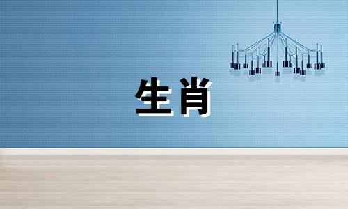 为什么猪在爱情面前摇摆不定