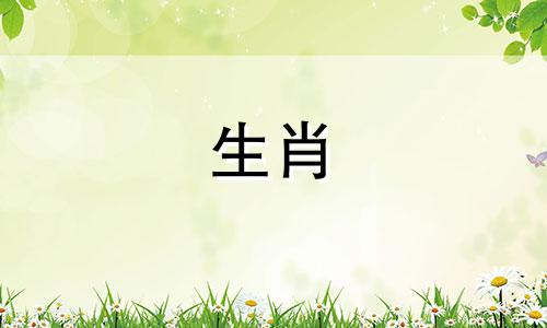 猪温柔女孩婚后变泼妇的原因