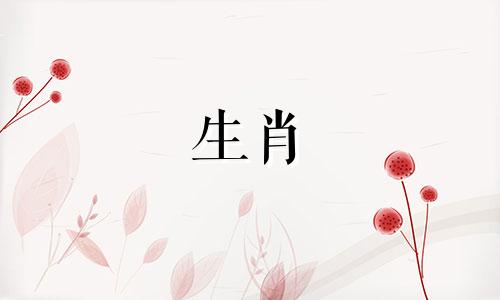 兔子和属虎在一起怎么发财