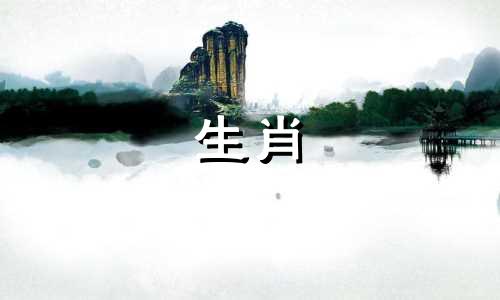 为什么猪男孩和你暧昧