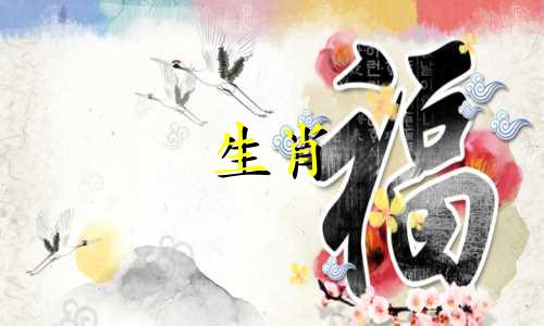 兔子和鸡在一起有多幸运