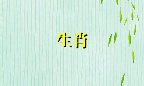 兔子和狗在一起有多幸运