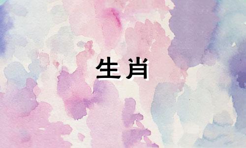 为什么猪喜欢用分手来测试对方