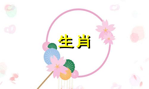 如何让一只兔子和一只属鼠结婚