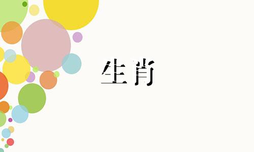 爱猪人最可爱的地方是什么?