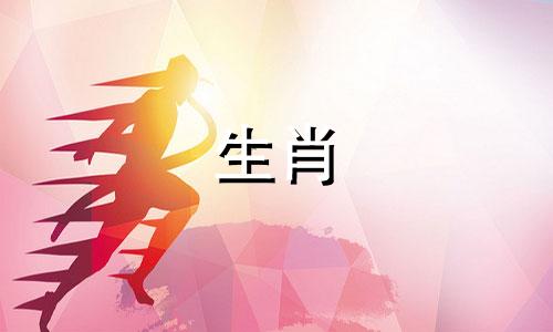 公鸡女人配属猴男人吗?