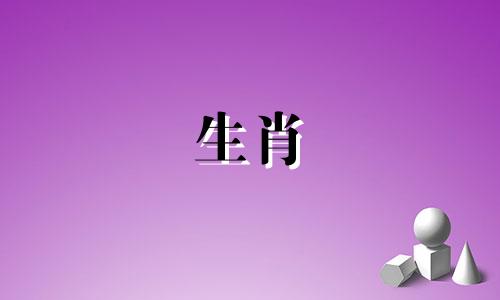 2020年猪最难熬的年份是哪一年?
