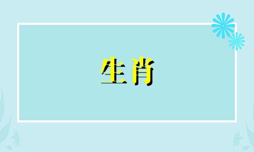 什么样的女孩适合猪男白头偕老