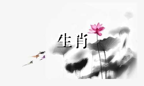 当异地恋中的猪是什么感觉?