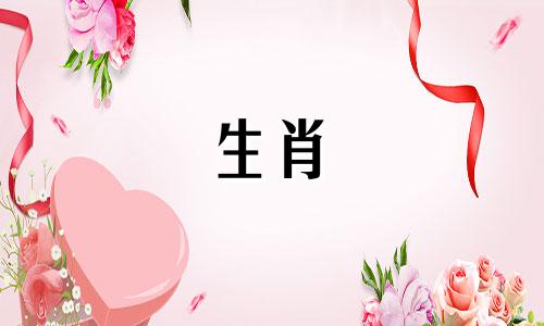 猪年的下一年是哪一年?