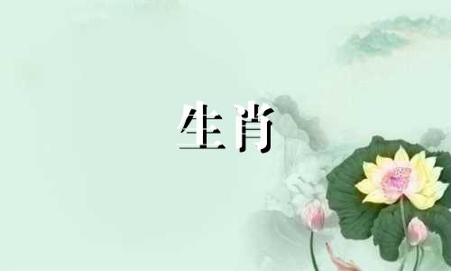 狗和属虎是否适合赚钱