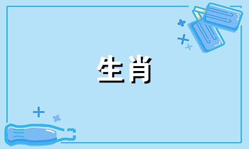 恋爱中的猪是什么感觉