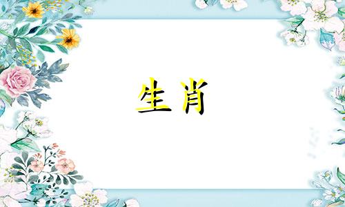 当你是猪的时候你想说什么