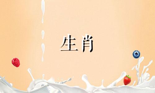 猪最忌讳的对象方向颜色