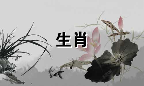 猪龄查询表比较表是几岁?