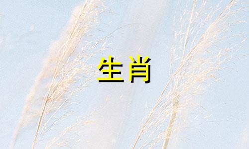 属鼠和绵羊绵羊和属鼠是兼容的