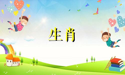 为什么猪男孩对爱情失去兴趣