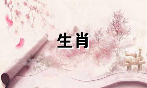 你的猪前任教会了你什么