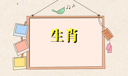 属猪的人出生在哪个月对生命不利哪个月对生命最有利