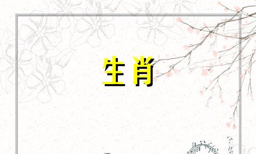 谁是猪人有福气是猪桃花运打贵人分析