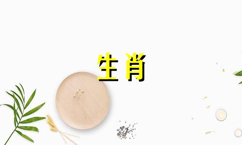 狗女拒绝疯狂追求者的原因