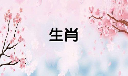 一个爱狗的男孩当他的女朋友被搭讪时是什么反应