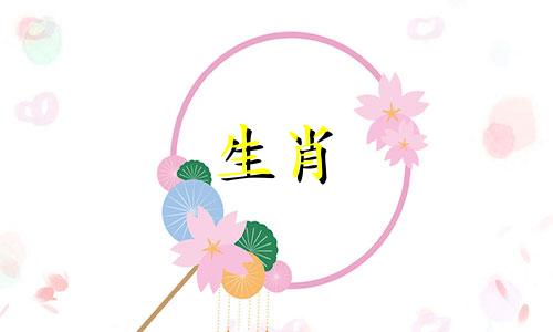 为什么狗的爱情会结束