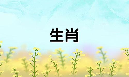 属鼠和属鼠能和睦相处吗?