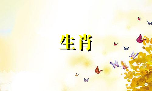 一个属猴女人和一个马男人?