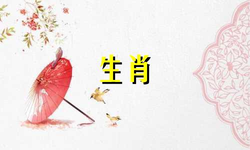 阳痿是狗无望的爱的表现