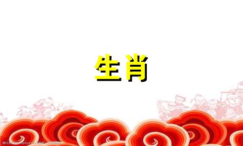 鸡女人应该嫁给属龙男人吗?