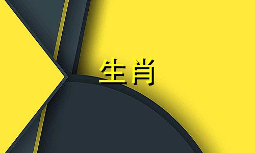 如何驯服一个不能回家的狗女孩