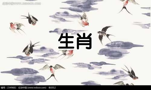 当一只狗如何提高你的幸福感