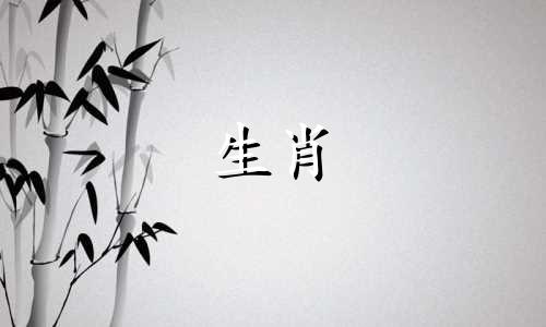 如何爱上一只情商不高的狗