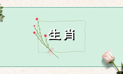 狗对未婚怀孕有什么看法