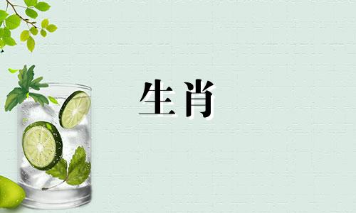 是什么让一个爱狗的女孩哭泣和尖叫