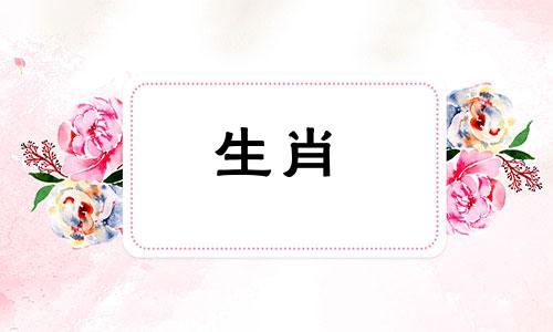 大鼠和兔子兼容吗?属鼠和兔子作为伴侣能和睦相处吗?