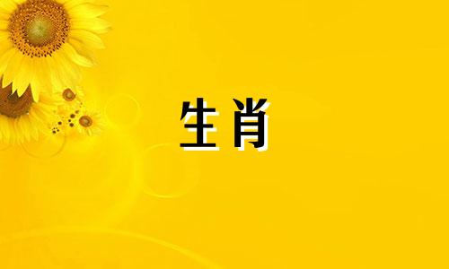 狗在向人求婚时不在乎丢脸。