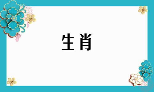 在什么情况下狗没有任何隐藏