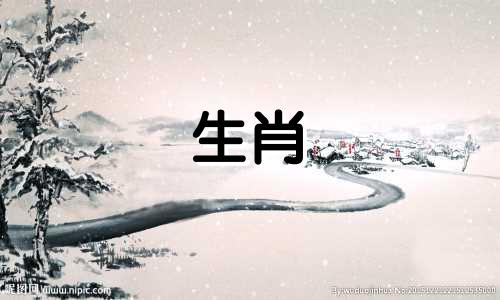 如何改变狗狗的职业生涯