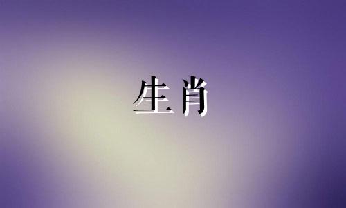 猪女人会嫁给鼠男人吗?