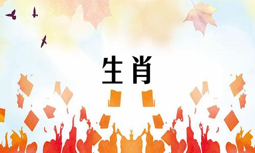 爱狗的女人会嫁给爱羊的男人吗?