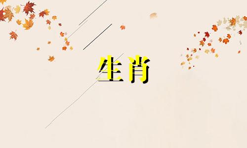 94年的狗几岁才能结婚?