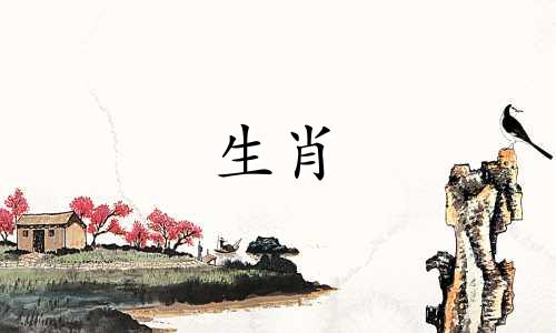 猪女人会嫁给牛男人吗?