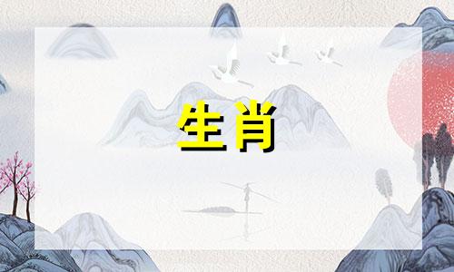 狗男最看重女孩身体的哪一点?