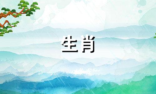 为什么狗的爱情长跑会失败